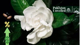 آشنایی با گل ملی پاکستان