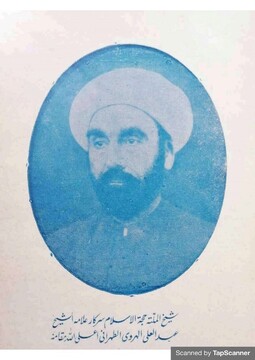 علامه عبدالعلی هروی طهرانی؛عالِمی فراتر از مرزها