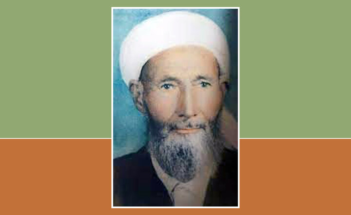 علامه مولانا محمد سلیم طغرا